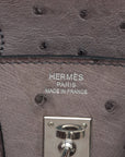 Hermes Birkin 25 Austrich Mouse Silver G  N2010