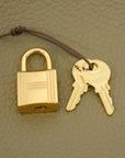 Hermes Picotin Lock MM 060991CC Bag