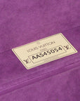 Louis Vuitton Monogram Bisten 65 M21325