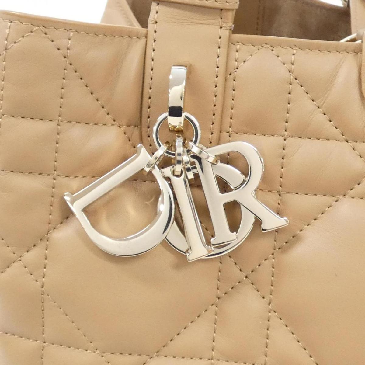 Christian Dior Tujoul Medium M2821OSHJ Bag