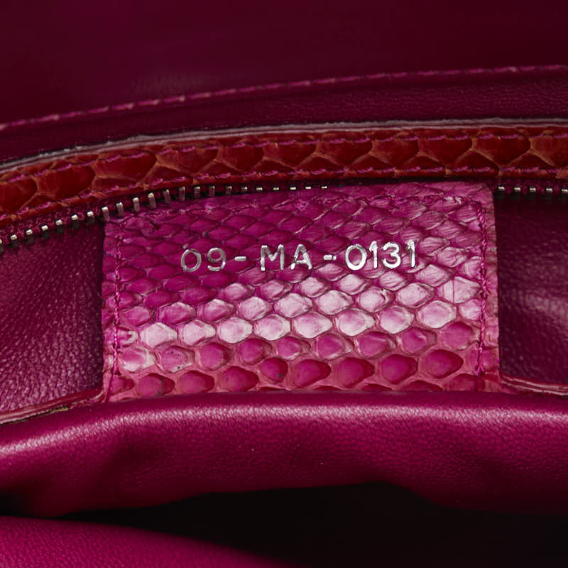 Dior  Lock Chain Shoulder Bag Pink Multicolor Pearson Leather  Dior