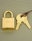 Hermes Picotin Lock PM 056289CC Bag