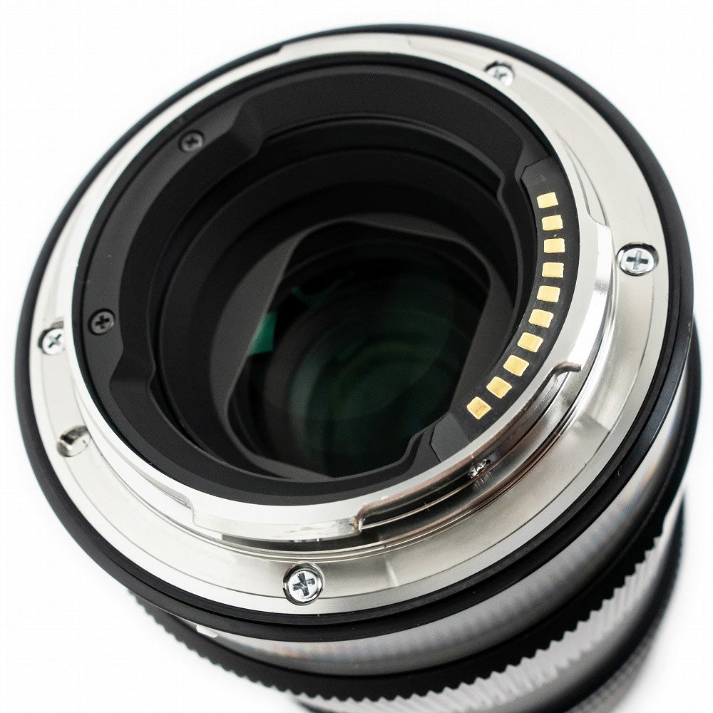 Sigma 105mm F2.8 DG DN MACRO Single Focus Telescope Macro L Mount Full Size Leica Panasonic