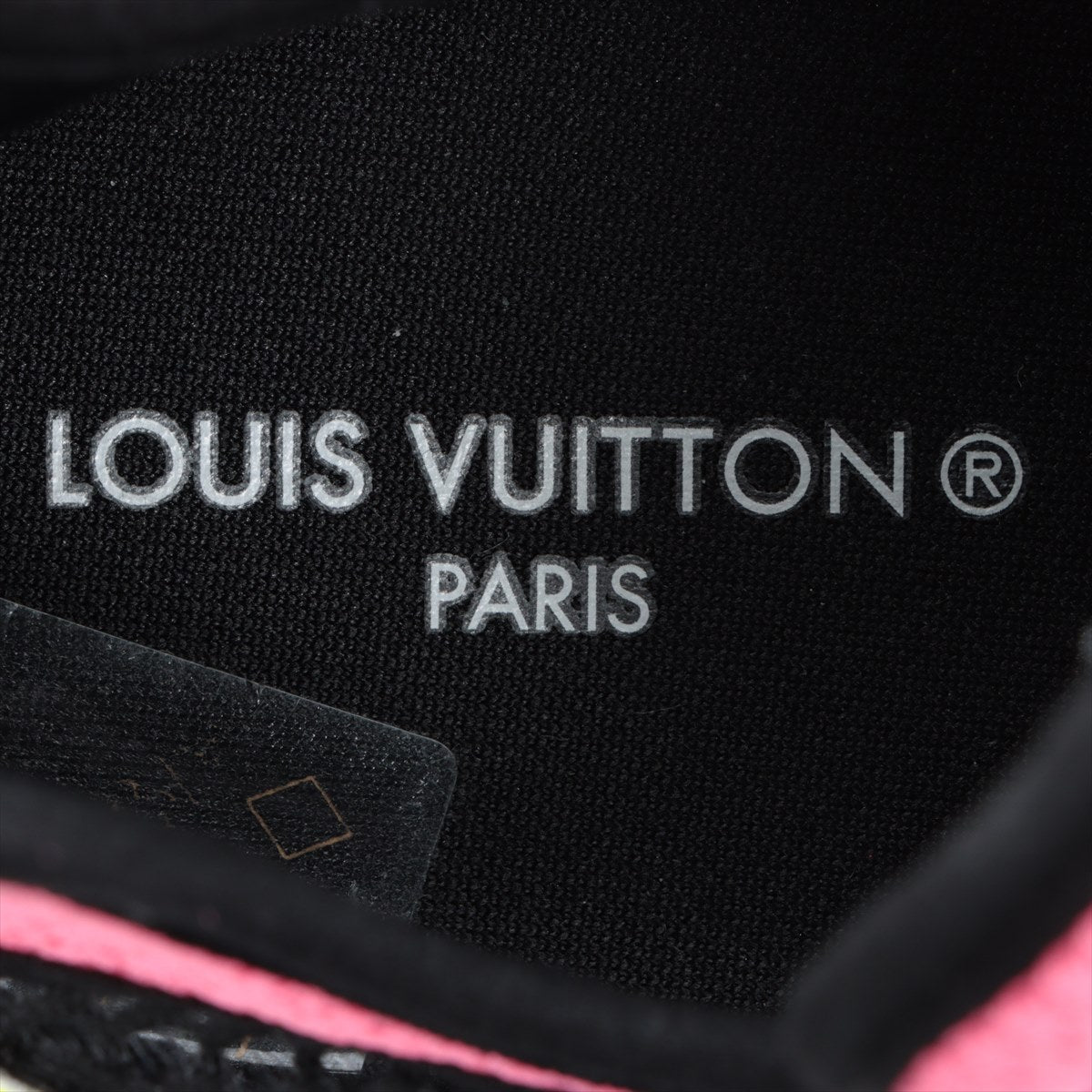 Louis Vuitton Run 55 Line 22 Years Leather x Mesh Snickers 40  Multi-Color GO0212 N