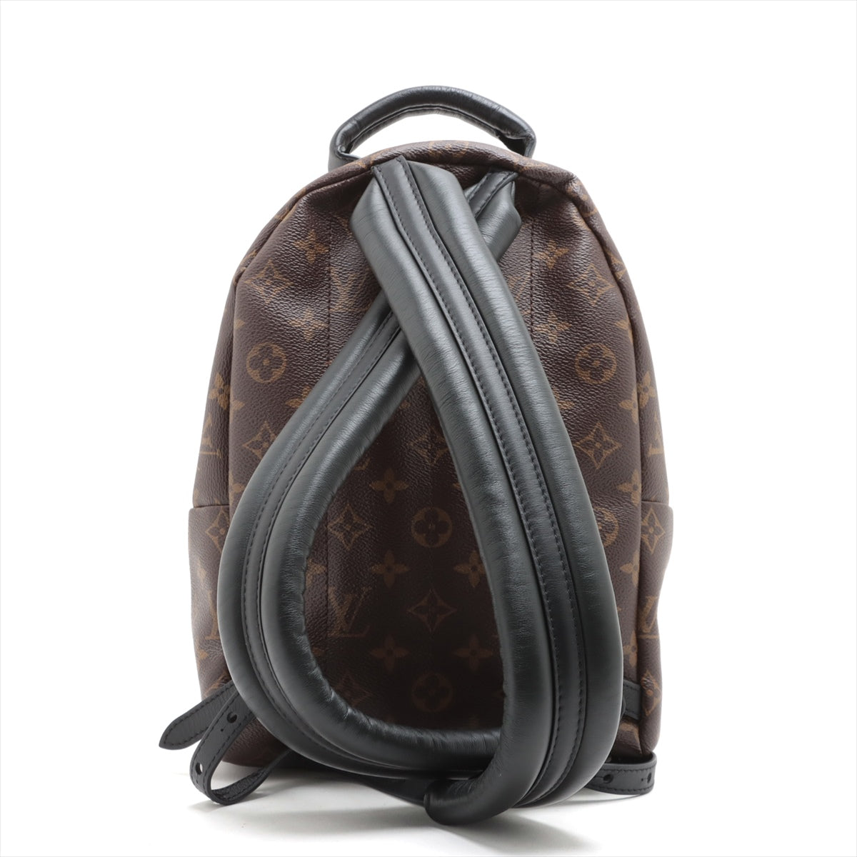 Louis Vuitton Monogram Palm Springs Backpack PM M41560
