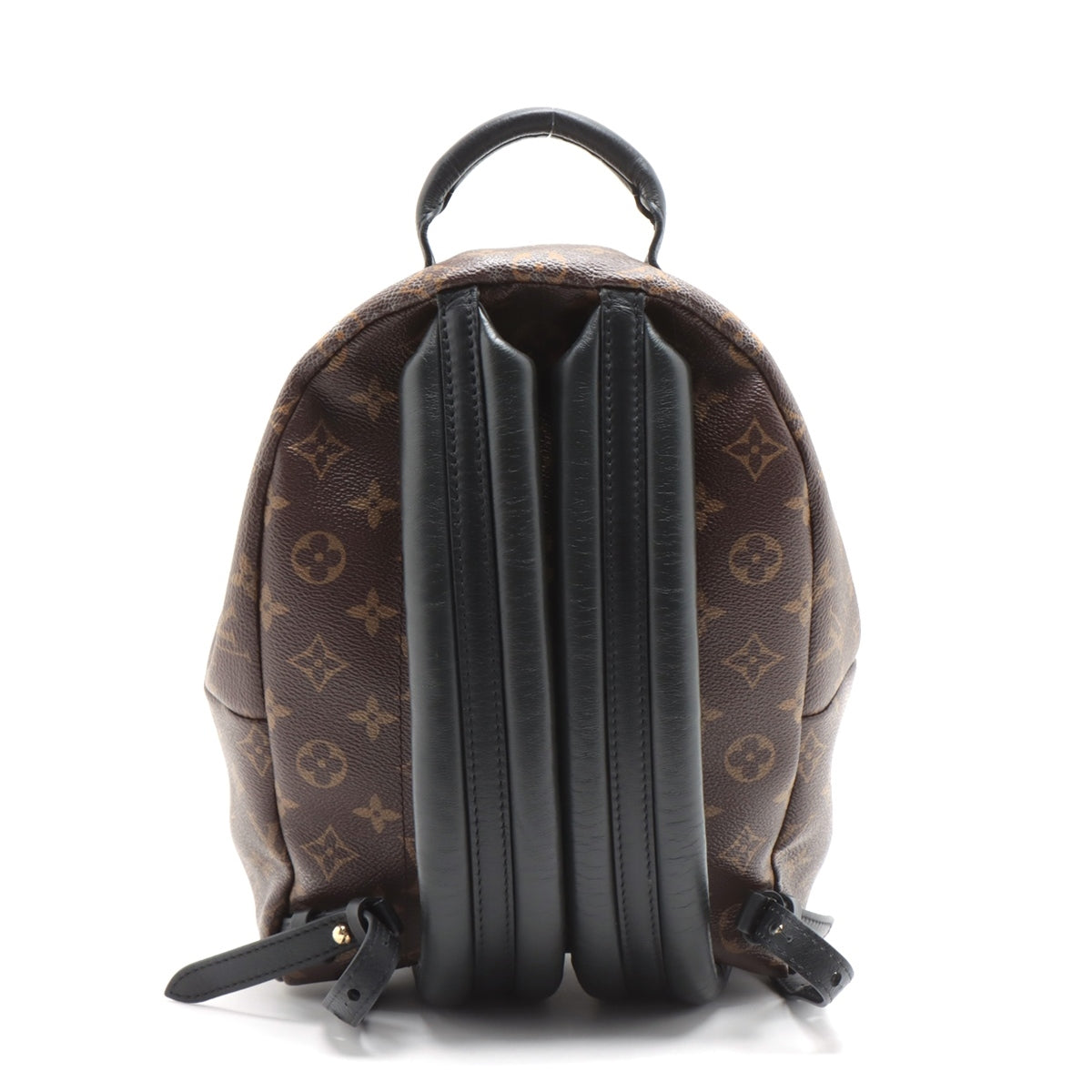 Louis Vuitton Monogram Palm Supremes Bag Pack MM M44874