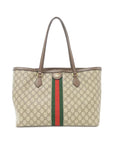 Gucci OPHIDIA 631685 96IWB Bag