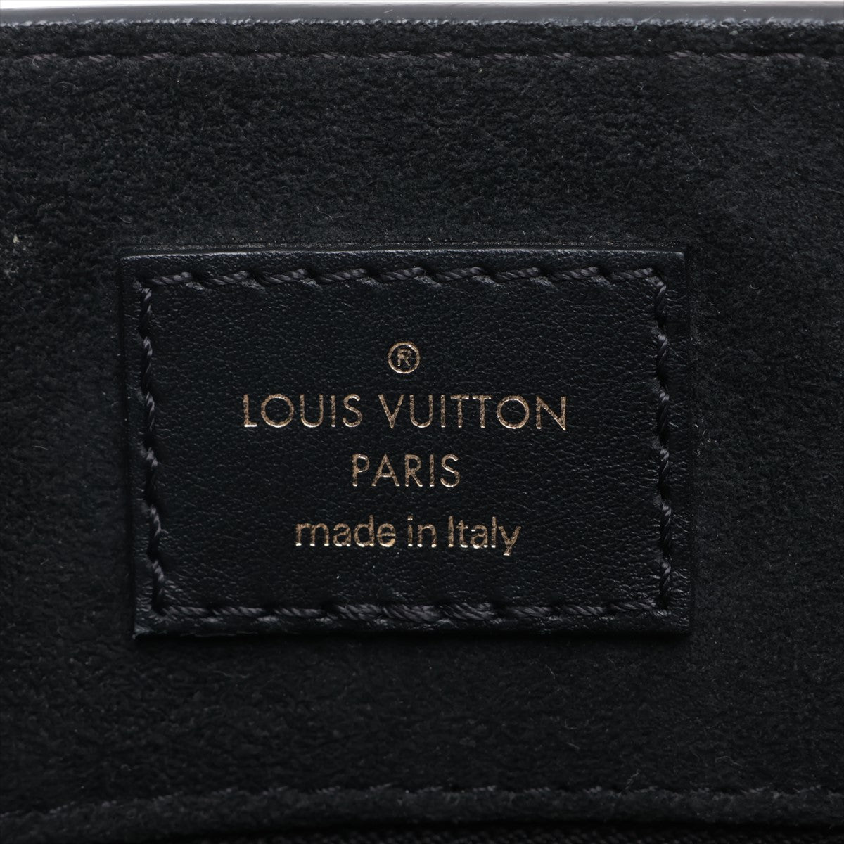 Louis Vuitton M20958 -reactive epic sackplate