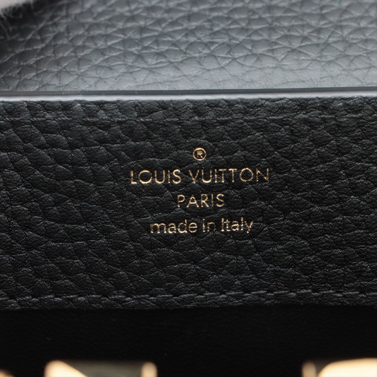 Louis Vuitton  Capsine MINI M56669