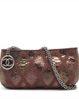 Chanel Coco Leather  Pearson Chain Shoulder Bag Multicolor Silver  11th