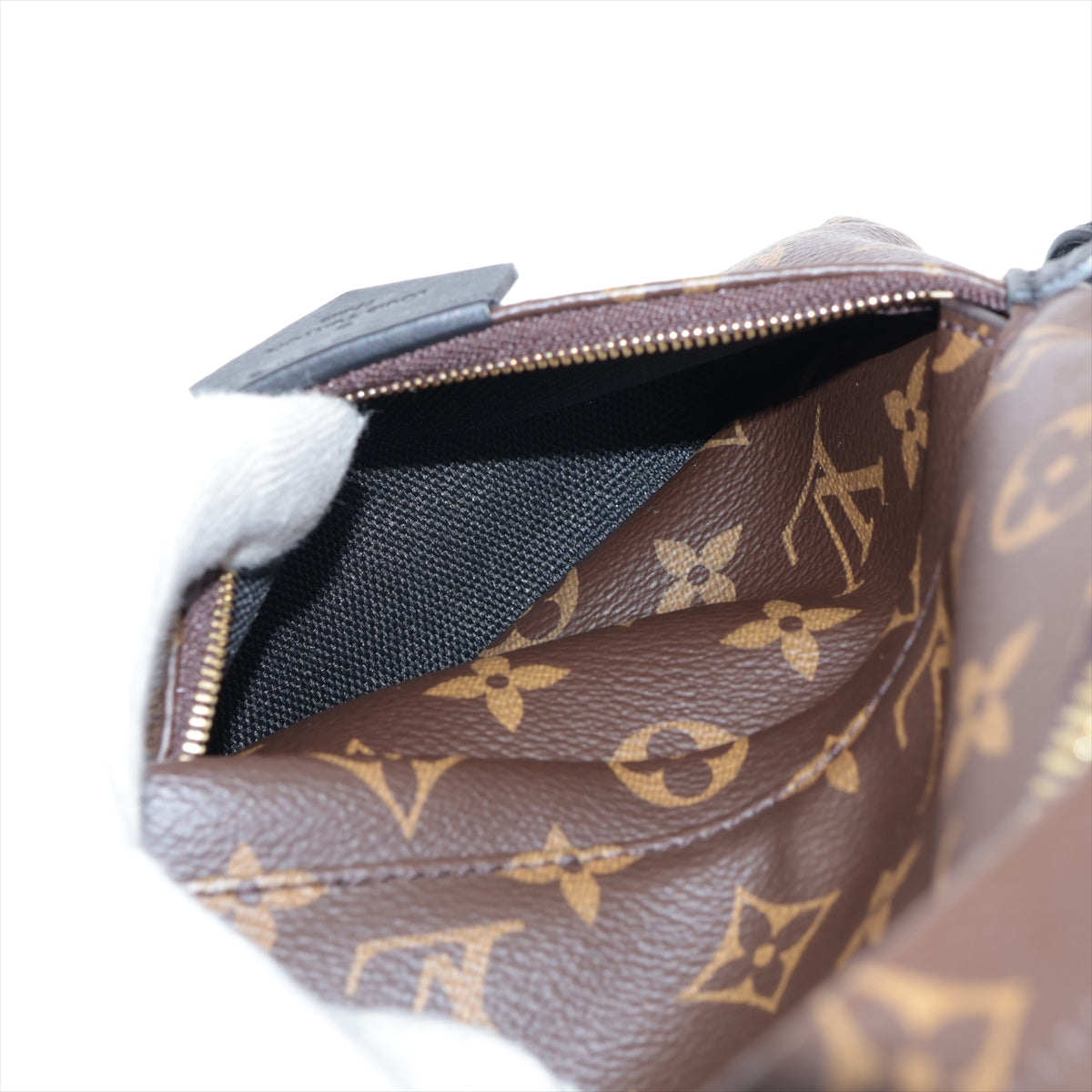 Louis Vuitton Monogram Palm Springs Bag Pack MM M44871