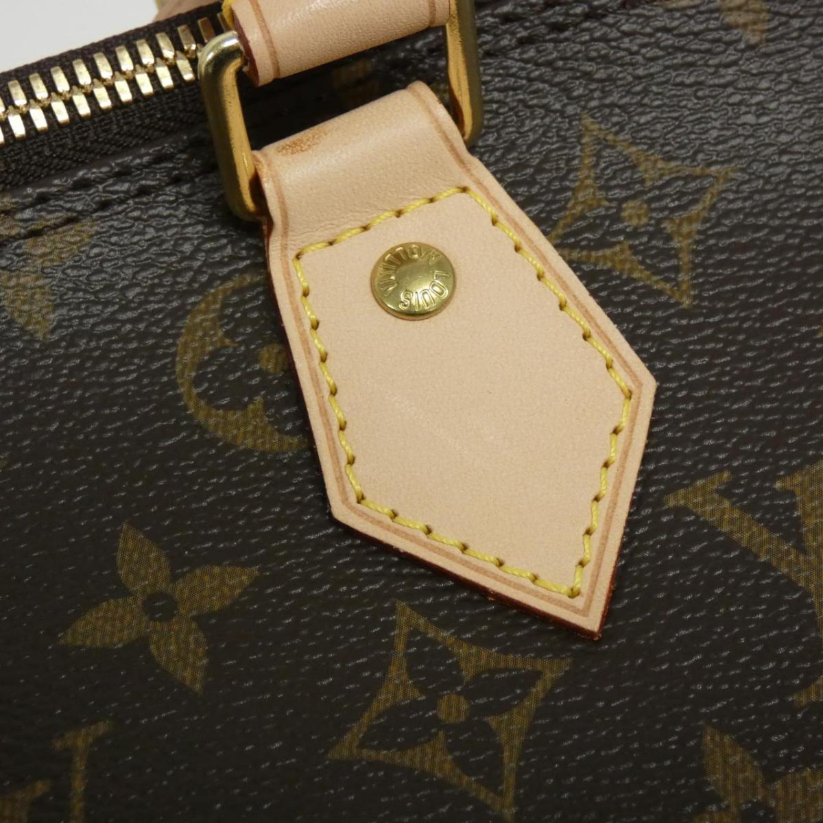 Louis Vuitton Monogram Alma PM M53151 Bag