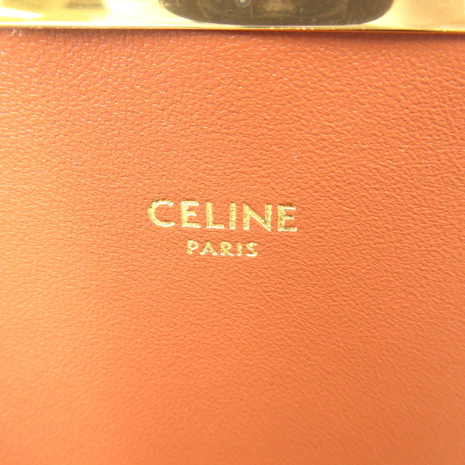 Celine Celine  Shoulder Bag Bag PVC Coated Linen  Brown Tang 188882BZ404LU