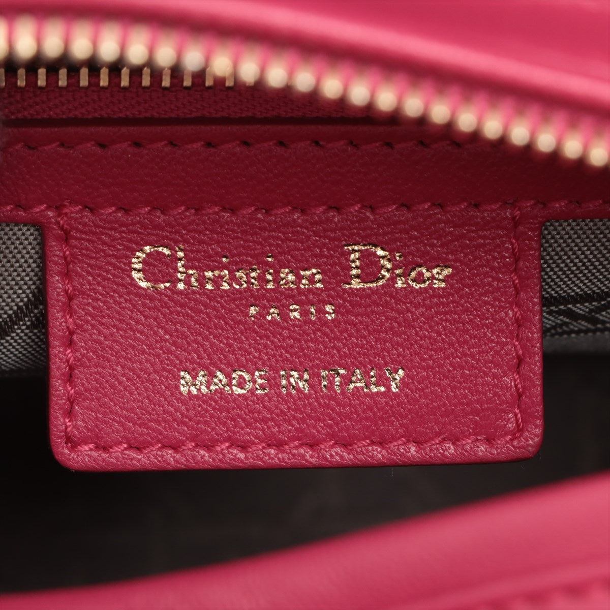 Christian Dior  Dior Lady Leather 2WAY Handbag Pink