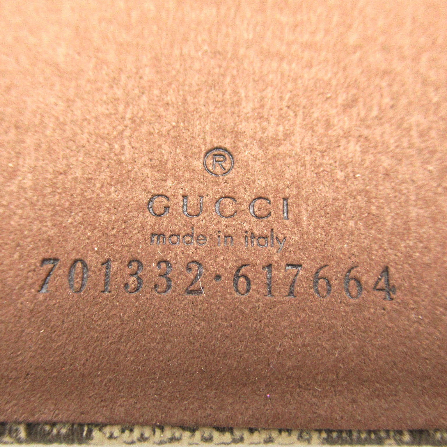 Gucci iPhone 13 Pro Case Accessories PVC Coated Canvas   Brown 701332K5I0S